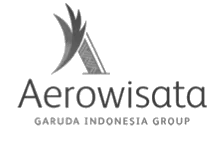 Aerowisata
